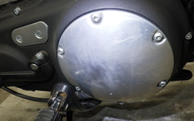 HARLEY XL883N 2015