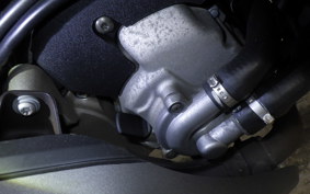 PIAGGIO MP3 300 2020