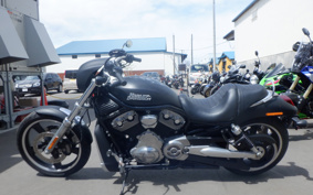 HARLEY VRSCD 2008 HLH