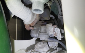 HONDA C50 SUPER CUB 2024 C50