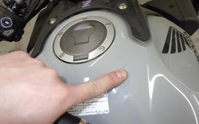 HONDA CB650R E-Clutch 2024 RH17