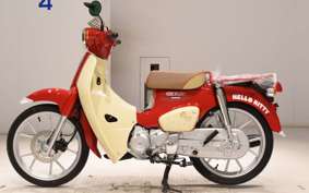 HONDA C110 SUPER CUB