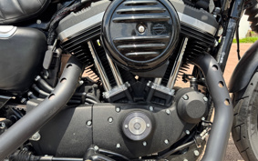 HARLEY XL883N 2017 LE2