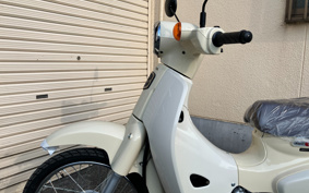 HONDA SUPER CUB50