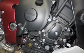 YAMAHA YZF-R1 2009 RN24J
