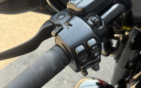 HARLEY FLHXS 2019 KRP