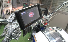 HARLEY HARLEY FLSTNSE1800CVO 2013 TF9