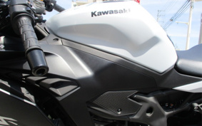 KAWASAKI NINJA ZX-4RR 2025 ZX400P