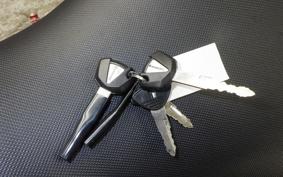 KAWASAKI NINJA 1000 A 2019 ZXT00W