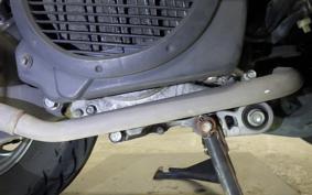 HONDA LEAD 110 2024 JF19