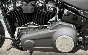 HARLEY  HARLEY FXFBS 2024 YLK