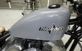 OTHER +UNREGISTERED MODEL by BDS250