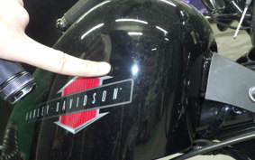 HARLEY XL1200X 2021