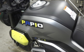 OTHER +CF PAPIO XO-2 2019