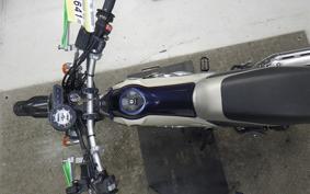 YAMAHA TRICKER DG10J