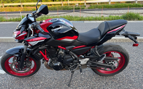 KAWASAKI Z650 2024 ER650S