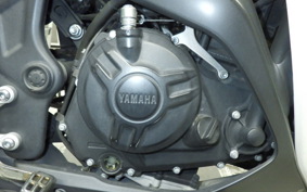 YAMAHA YZF-R25 2001 RG10J