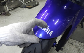 YAMAHA YZF-R25 RG10J