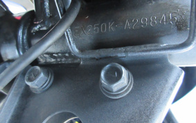 KAWASAKI NINJA 250R EX250K