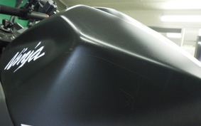 KAWASAKI NINJA 250 2011 EX250P