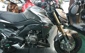 KAWASAKI Z125 PRO BR125H