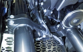 KAWASAKI VERSYS 1000 SE 2020 LZT00D