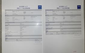 TRIUMPH BONNEVILLE T100 2024