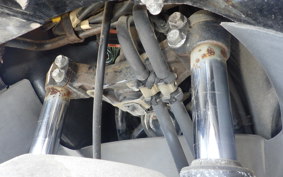 HONDA FORESIGHT EX MF04