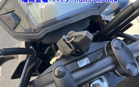 OTHER GROM-2