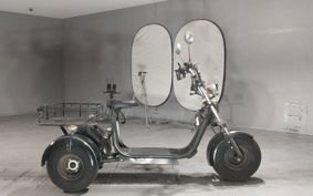 OTHER  BLAZE EV TRIKE  ..