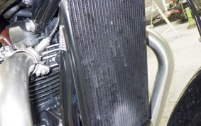 TRIUMPH BONNEVILLE T100 2024