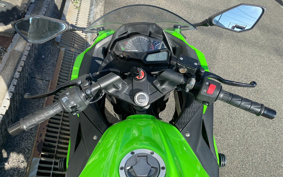 KAWASAKI NINJA 250 EX250L
