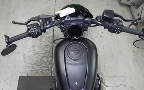 HARLEY RH975S 2024