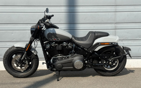 HARLEY FXFBS 2025 YLK