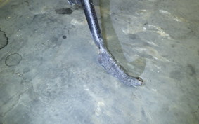 KAWASAKI ELIMINATOR 400 1996 ZL400A