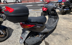 YAMAHA AKUSHI STREET SE53J