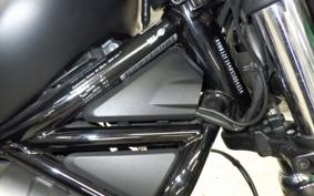 HARLEY RH975S 2024
