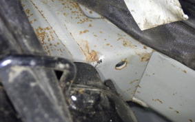 SUZUKI LET's 4 G 2024 CA41A