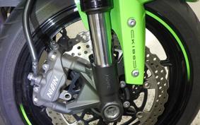 KAWASAKI NINJA ZX-6R A 2019 ZX636G