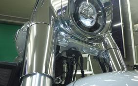 HARLEY FLFB1920 2025