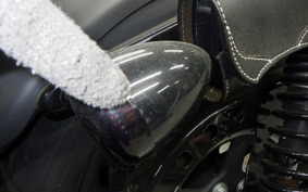 HARLEY XL883N 2019