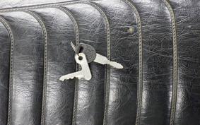 KAWASAKI Z1000 H 2024 KZT00H