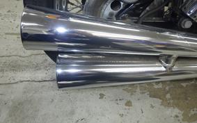 OTHER UNREGISTERED MODEL by BDS1200 2025
