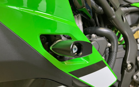 KAWASAKI NINJA ZX-4RR KRT ED 2025 ZX400P