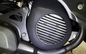 YAMAHA MINT 2023 1YU