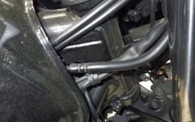 HONDA CB400 SUPER BOLDOR A 2020 NC42