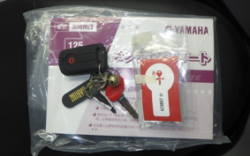 YAMAHA NMAX-3 2024 SEL1J