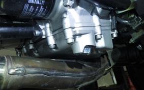 YAMAHA FZ1 FAZER 2010 RN21J