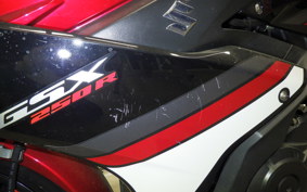 SUZUKI GSX250R 2023
