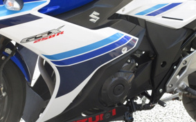 SUZUKI GSX250 R DN11A